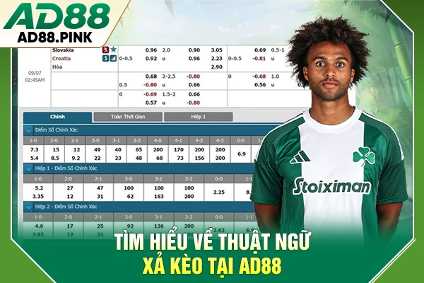 Tìm hiểu về thuật ngữ xả kèo tại AD88
