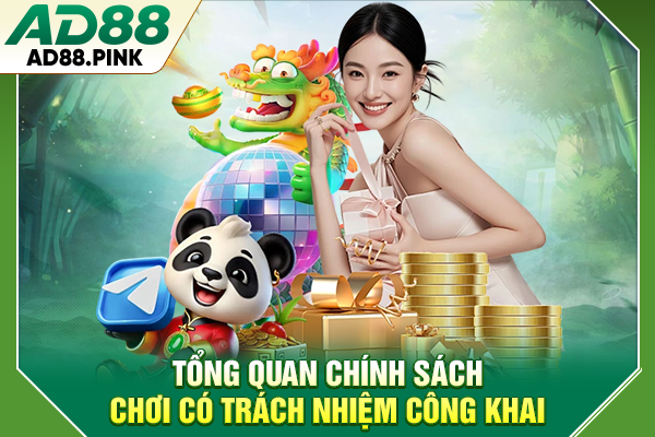 Tổng quan chính sách chơi có trách nhiệm công khai